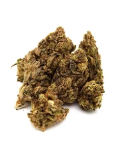 Oompa Loompa – Premium Hybrid‑Cannabis